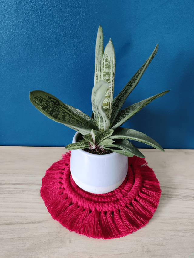 Sous-verre - Framboise