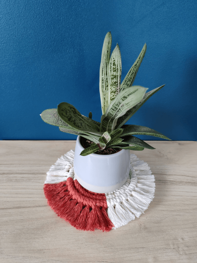 Sous-verre - Bicolore - Ecru et rouille