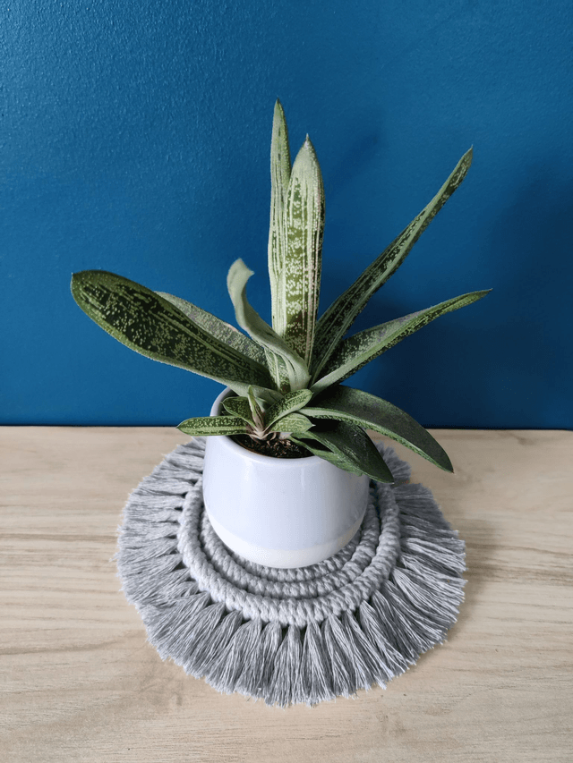 Sous-verre - Gris