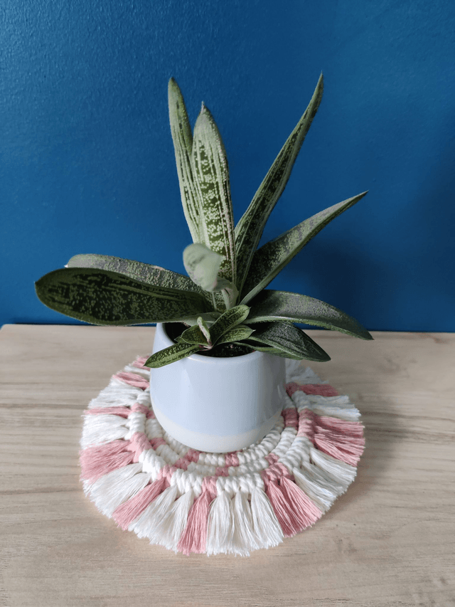 Sous-verre - Bicolore - Rose et écru