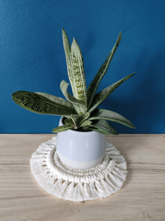 Sous-verre - Lot de 4 - Ecru