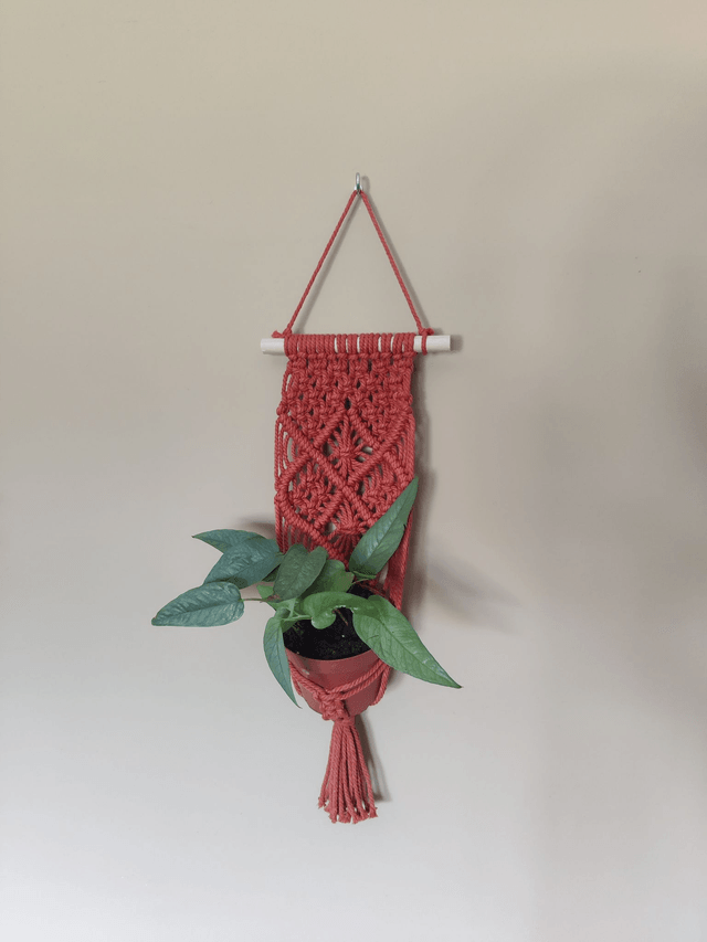 Suspension pour plantes - Pot moyen - Couleur écru