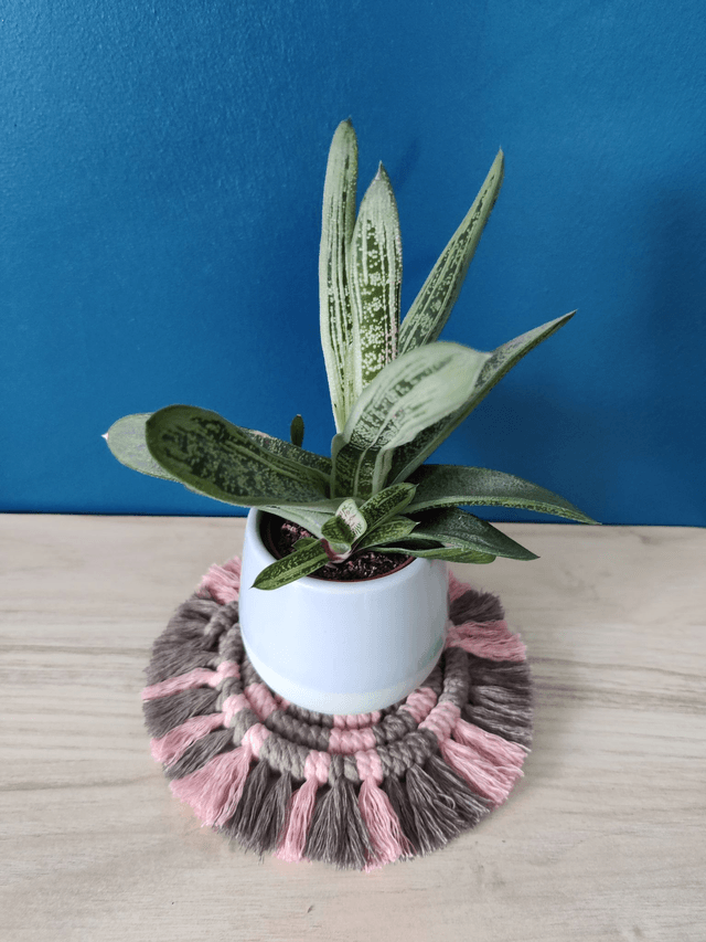 Sous-verre - Bicolore - Rose et beige