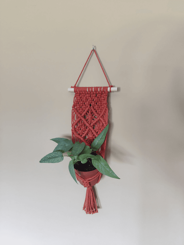 Suspension pour plantes - Orange - Pot moyen