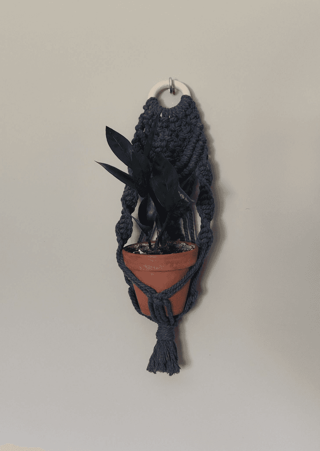 Suspension pour plantes - Bleu - Petit pot